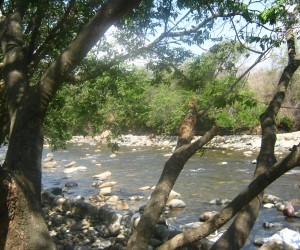 Gatapuri River Source  Flickr by JoiceBarbosa 1